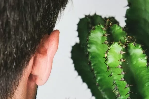 Оталгия – основные причины болей в ушах